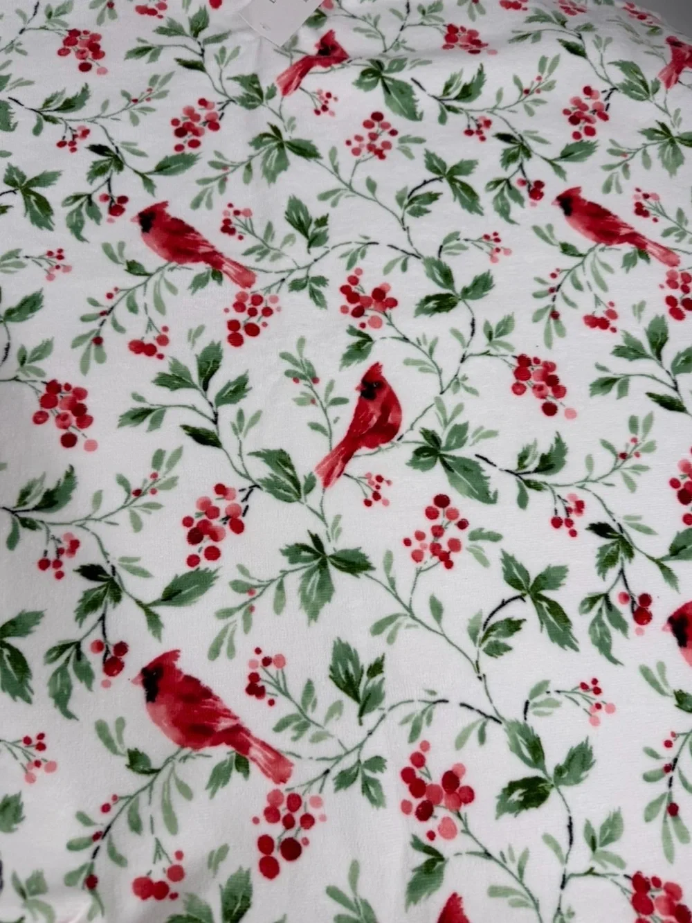 4~NWT Laura Ashley Christmas Jolly Cardinals 2 Bath & 2 Hand Towels
